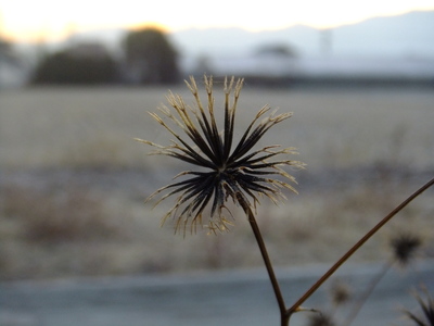 DSCF0081.jpg