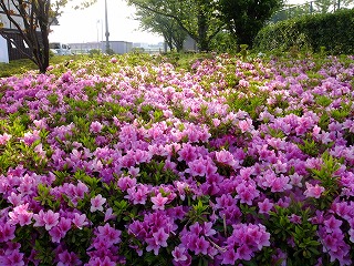 DSCF0128.jpg