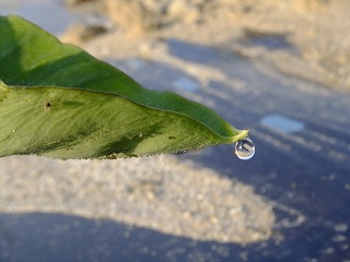 DSCF0165.jpg