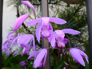 DSCF0167.jpg
