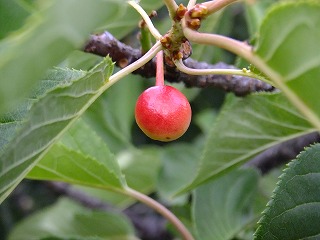 DSCF0172.jpg