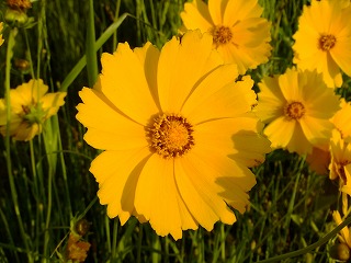DSCF0195.jpg