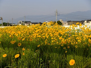 DSCF0197.jpg
