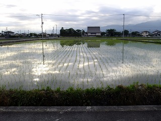 DSCF0287.jpg