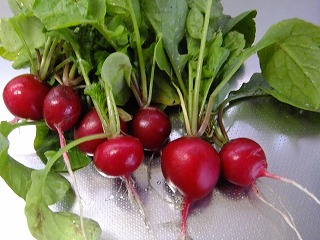 DSCF0335.jpg