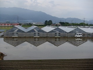 DSCF0352.jpg