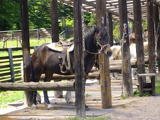 DSCF0492.jpg