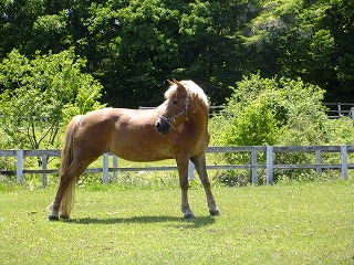 DSCF0494.jpg