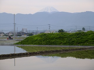 DSCF0762.jpg