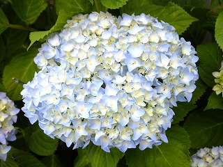 DSCF6518.jpg