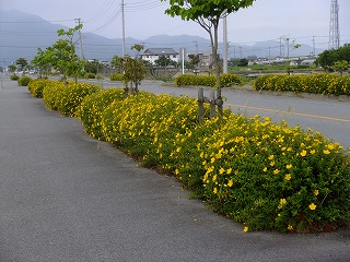 DSCF6562.jpg