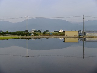DSCF6583.jpg