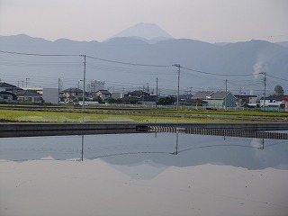 DSCF6590.jpg