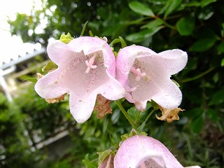 DSCF6646.jpg