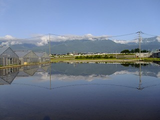 DSCF6692.jpg