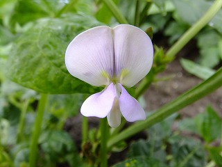 DSCF6728.jpg