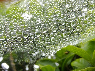 DSCF6871.jpg
