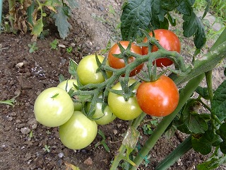 DSCF6882.jpg