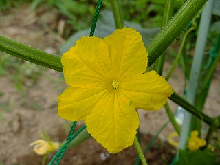 DSCF6885.jpg