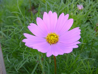 DSCF6963.jpg