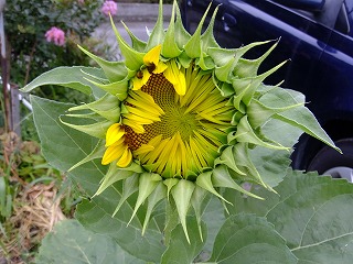 DSCF6980.jpg