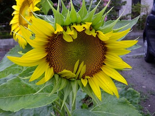 DSCF6997.jpg