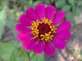 DSCF7020.jpg