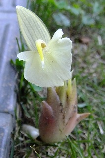 DSCF7025.jpg