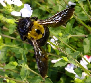 DSCF7039.jpg