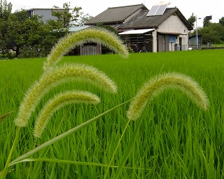 DSCF7048.jpg