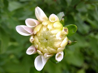 DSCF7102.jpg