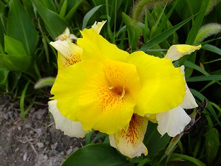 DSCF7114.jpg