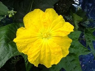 DSCF7128.jpg
