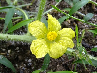 DSCF7168.jpg
