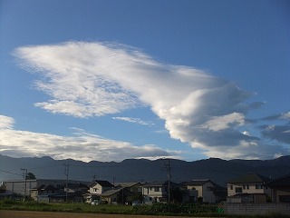 DSCF7315.jpg