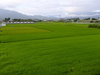 DSCF7385.jpg
