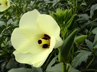 DSCF7391.jpg