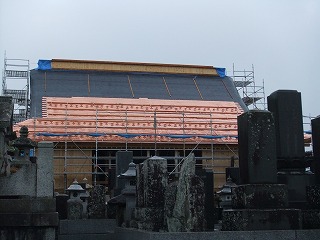 DSCF7427.jpg