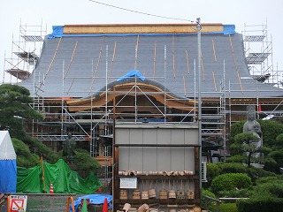 DSCF7435.jpg