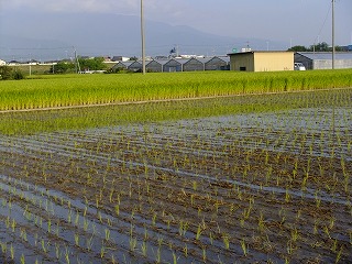 DSCF7499.jpg