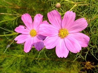 DSCF7502.jpg