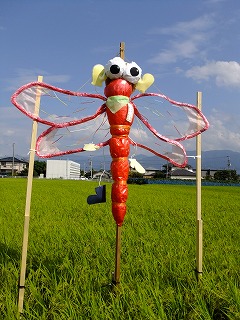 DSCF7590.jpg