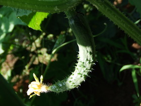 DSCF7628.jpg