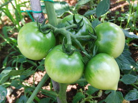 DSCF7630.jpg