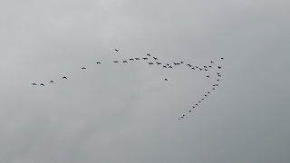 DSCF7643.jpg