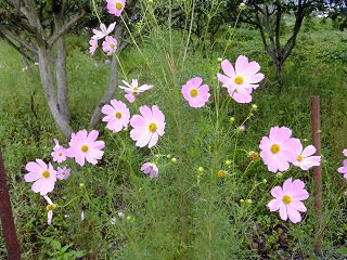 DSCF7708.jpg