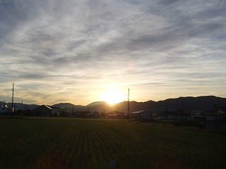 DSCF7827.jpg