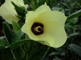 DSCF7989.jpg
