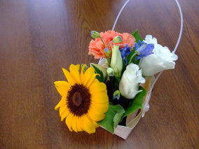 DSCF7994.jpg