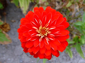 DSCF8012.jpg